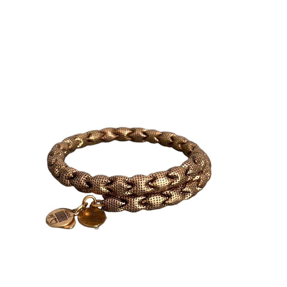 ALEX & ANI rafaelian gold wrap bracelet